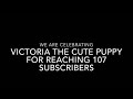 For victoria the cute puppy