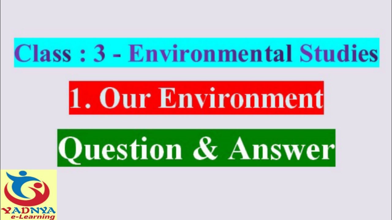 Our Environment, Question and Answer, EVS, Chapter 1, Class 3 YouTube