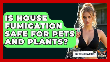 Is House Fumigation Safe For Pets And Plants? - Insects and Invaders