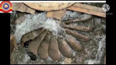 KRSMA#Standard 4 EVS Part 2 Chapter 7 As Stone... As Wind....