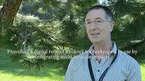 B-GOOD: Data Collection and Beehive Monitoring