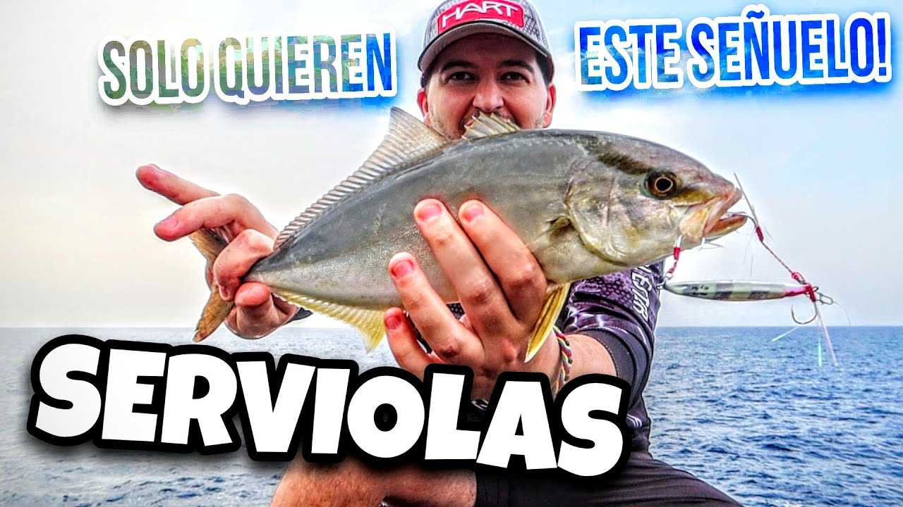 SERVIOLAS a SPINNING DESDE COSTA... ¡BRUTAL! [Colaboramos con un campeonato de pesca]