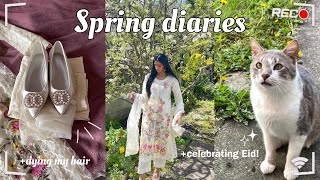 Spring Diaries: Dying my hair, Celebrating Eid, Shopping