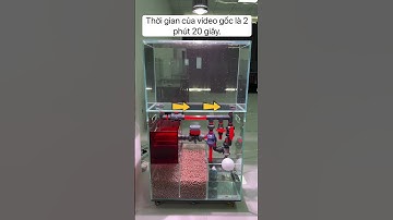 Test bể cá lọc tràn dưới #shopca #fishkeeping #fishtank