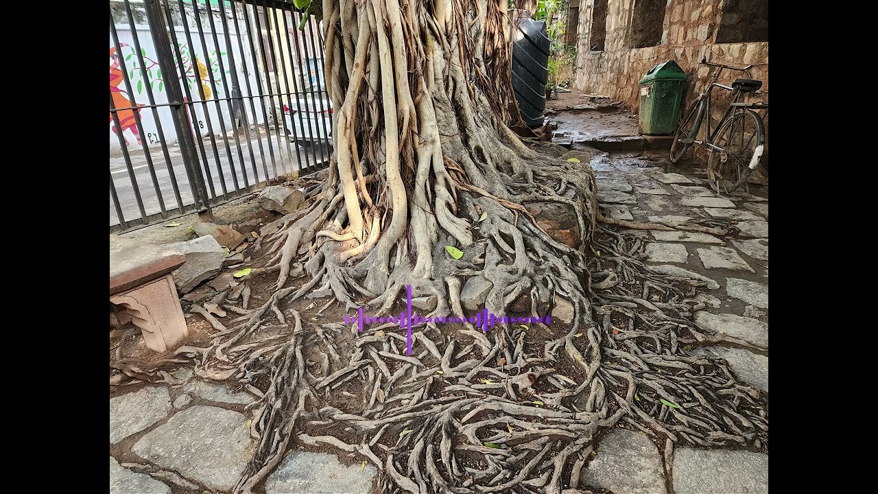 [NADA Music] 잠시 쉬어가는 카페, 마음의 짐 #삶의길