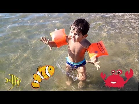 Vídeo: Férias Na Praia Com Crianças Na Turquia