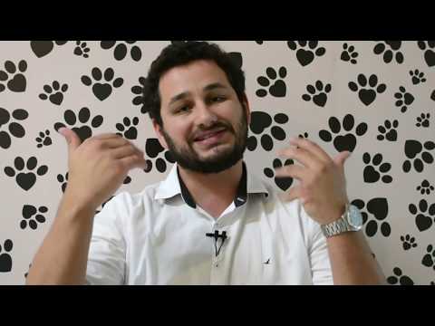 Vídeo: Refluxo ácido Em Gatos