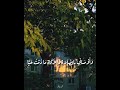 الشيخ محمود خليل الحصري سورة مريم 