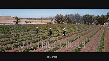 Jake Paul - OFC but every time it gets CRINGY SpongeBob gets shot