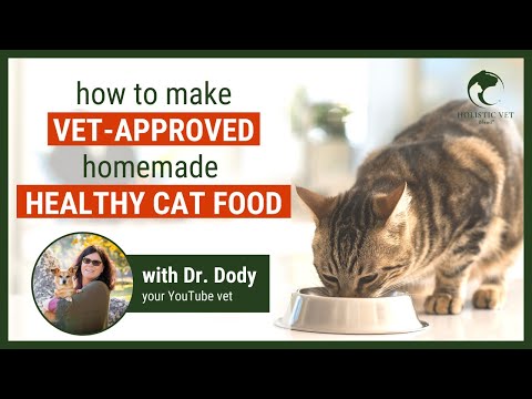 what to feed a cat: food or homemade food