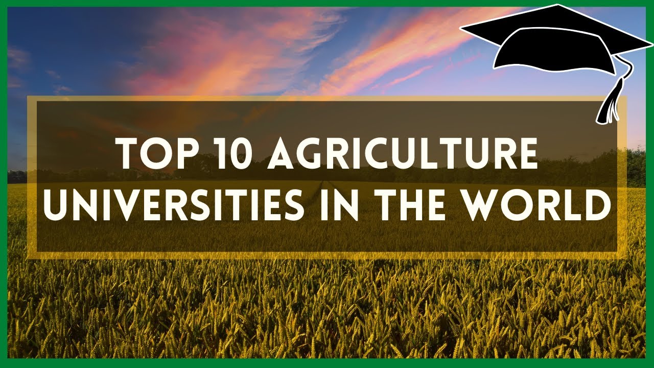 Top 10 Agriculture Universities in the World Best 10 Agriculture