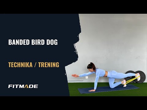 Miniatura filmu: Banded bird dog – technika
