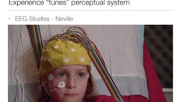 Perception: 11.3  Neural Basis of Speech Perception