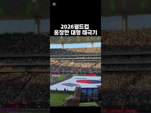 국뽕차는 2026월드컵 대형태극기 #멕시코 #축구 #손흥민 #이강인