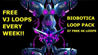 FREE Loop Pack - Biobotica - 37 Loops - 4K