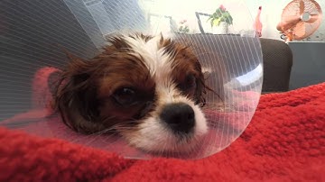 Xiaomi yi 2k video test 2