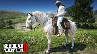 ESSE COWBOY ESCONDE UM SEGREDO - O SEGREDO DO CAVALEIRO BRANCO - A Fazenda de John Marston