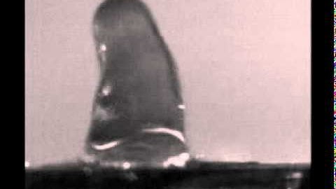 Videoclips of droplet impact dynamics on an Aligned Carbon Nanotube surface