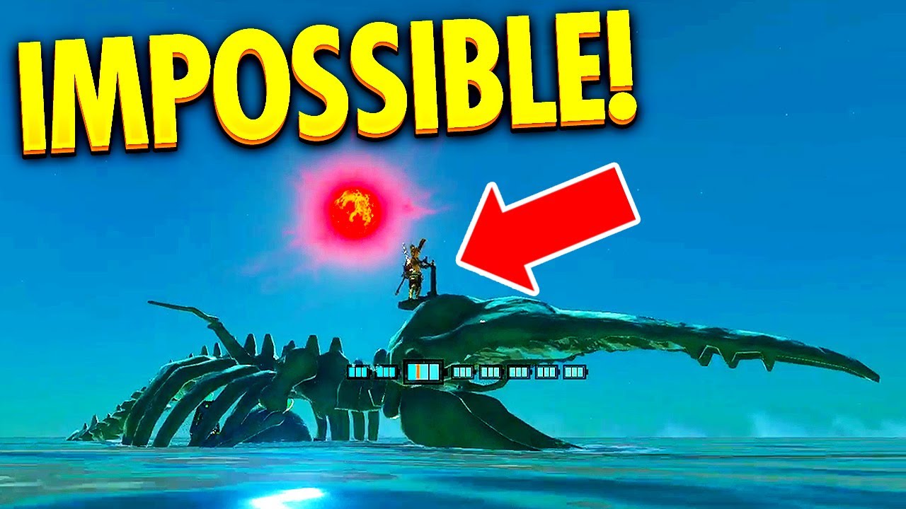 Zelda TotK Best Highlights, Builds & Funny Moments #8