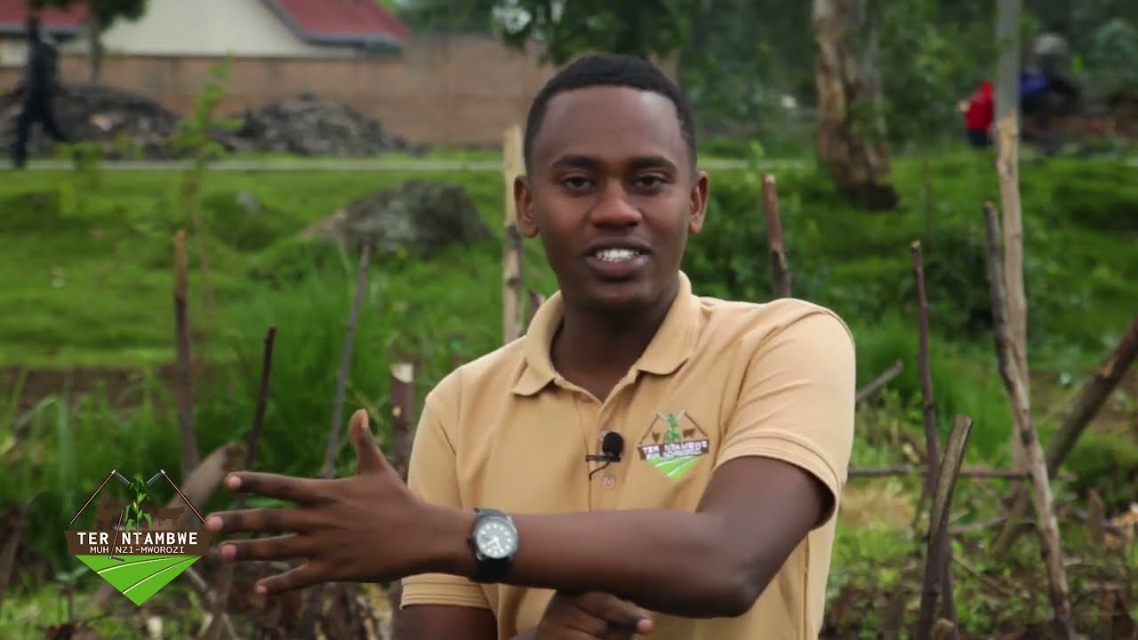 Uburyo bwo gukora ifumbire y'imborera (Composted manure) | Tera Intambwe Muhinzi Mworozi