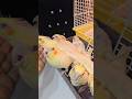 Babies sound 😍#cockatiel #birds #parrot #pets #foryou #shorts #babies #cute #cute #youtubeshorts