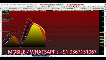SINGLE 4*55 SEAGULL INTRA & DAILY CHART IDEA FOR AMIBROKER