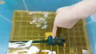 water proof Digital caliper - Dasqua