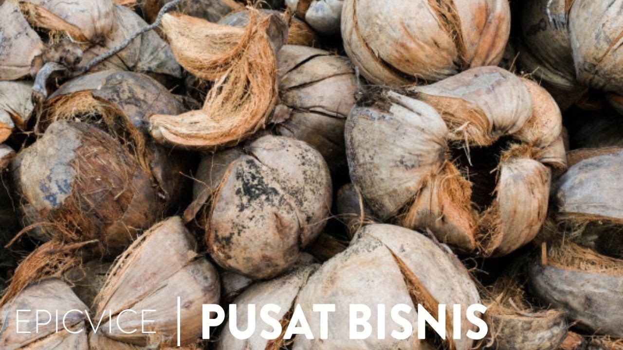 Permintaan Ekspor Tinggi, Limbah Sabut Kelapa Jadi Rebutan | Pusat Bisnis
