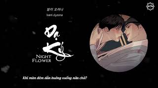 (Vietsub + Lyrics) Dạ Ký OST - Night Flower - Painter of the Night || 야화 (야화첩 OST)  Ahn Ye Eun (안예은)