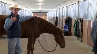 Lateral flexion problems in the snaffle