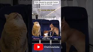 POV:TU PRENDS L'AVION EN FAMILLE #humour#chat