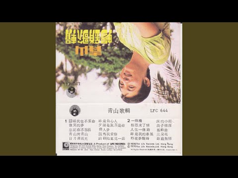 泪的小雨