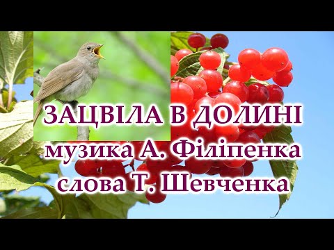 Зацвіла в долині червона калина пісня на слова Тараса Шевченка