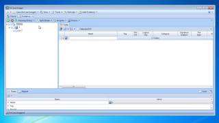 EnCase Forensic Imager buffer overflow vulnerability