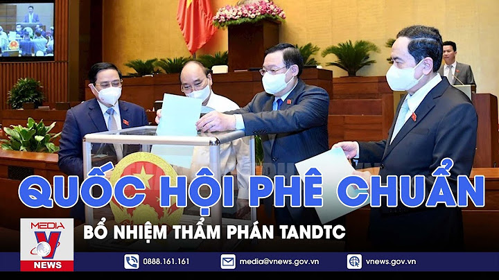 Đánh giá hệ thống tòa án hiện nay 2023 năm 2024