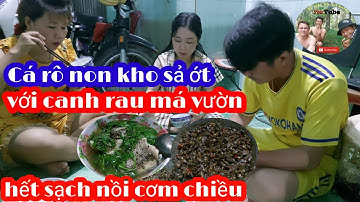 VIDEO:Bữa Cơm Chiều Với Cá Rô Non Kho Sả Ớt Hết Sạch Nồi Cơm /Trịnh Toàn Vlog/#carononkhosaot #1