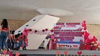 Little Miss Valentine Cyprus Number