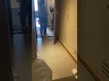 طوشة نساء في الفندق