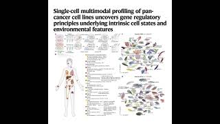 Download Lagu 1582-The Pan-Cancer Single-Cell Multimodal Regulatory Atlas Download Lagu 1582-The Pan-Cancer Single-Cell Multimodal Regulatory Atlas