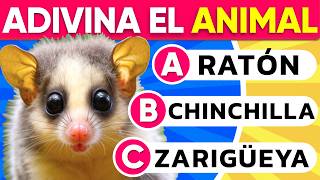 ADIVINA el ANIMAL Solo Para EXPERTOS 🦞🦋🐝 Quiz de Animales 2024 | Trivia Adivina El ANIMAL🙉🐞