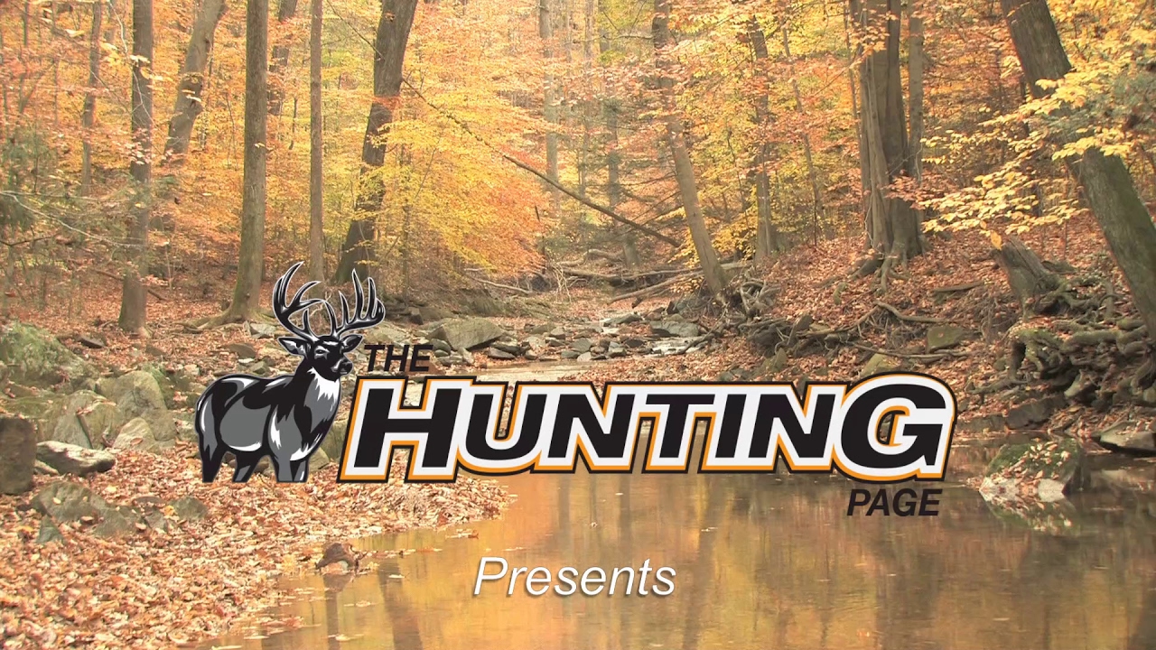 THE HUNTING PAGE: The Walking Dead