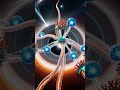 FARMING A BLACK HOLE WITH LIVING CORAL SHIPS (GENIUS)