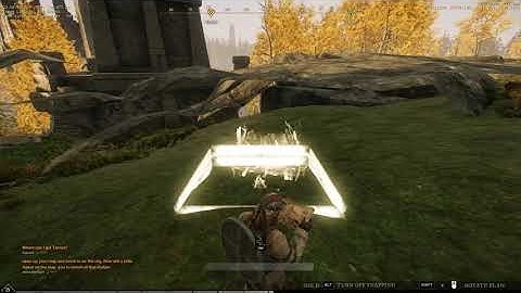 New world [Rock texture bug]