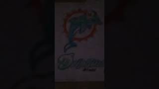 Miami dolphins sheet