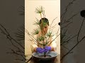 伝統的な日本のお正月を梅花で寿ぐ🌸お正月の生け花🎍正月飾り いけばな 生花 🎍 寺子屋NINJA - 和文化体験 #shorts