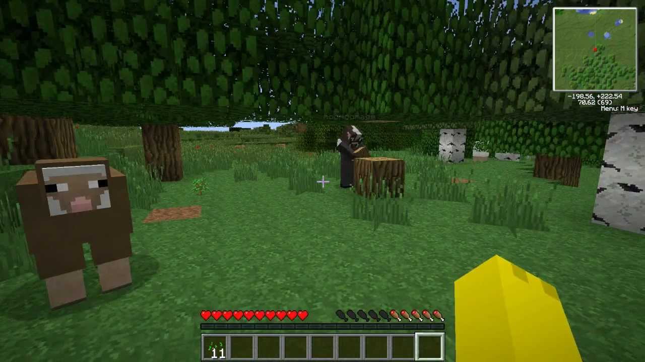 Minecraft: w/moomoomage, SizzleGames, & AstonishingGamer - Episode 1 ...