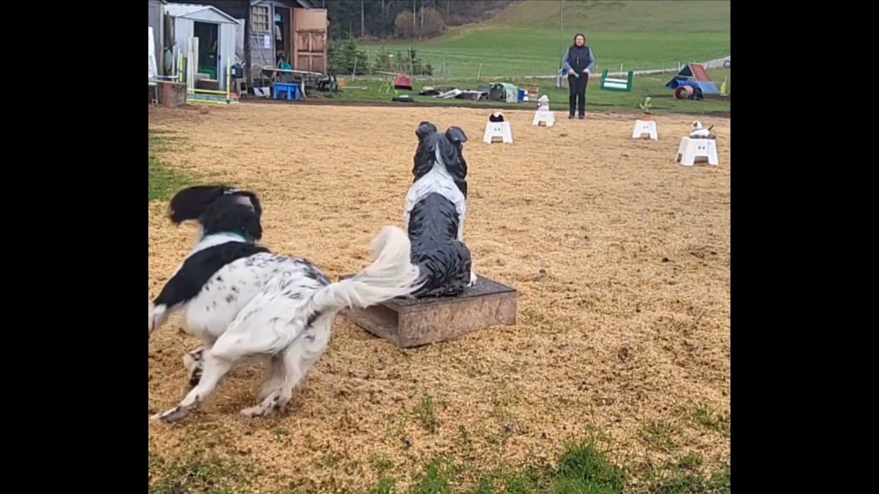 Dancer Pilonen umrunden