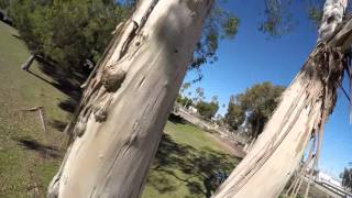 Immersion 250 vortex pro three tree gaps