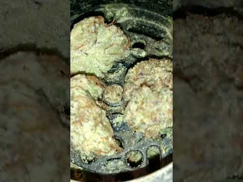 Gummies For Pain Hemp Doc Md