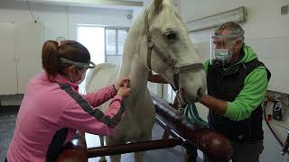 Univerza v Ljubljani, Veterinarska fakulteta (NAKVIS)